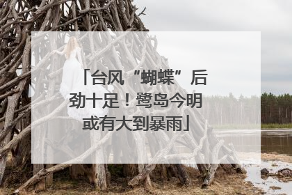 台风“蝴蝶”后劲十足！鹭岛今明或有大到暴雨
