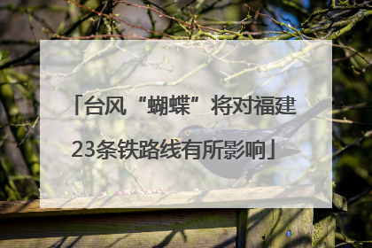 台风“蝴蝶”将对福建23条铁路线有所影响
