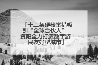 十二条硬核举措吸引“全球合伙人” 资阳全力打造数字游民友好型城市