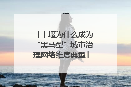 十堰为什么成为“黑马型”城市治理网络维度典型