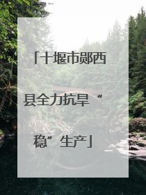 十堰市郧西县全力抗旱“稳”生产