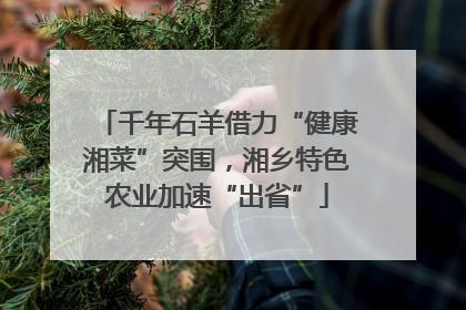 千年石羊借力“健康湘菜”突围，湘乡特色农业加速“出省”