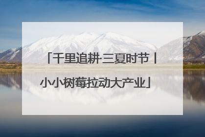 千里追耕·三夏时节丨小小树莓拉动大产业