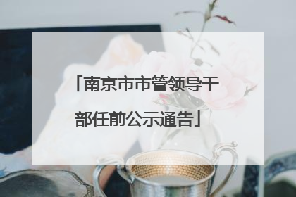 南京市市管领导干部任前公示通告