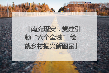 南充蓬安：党建引领“六个全域” 绘就乡村振兴新图景