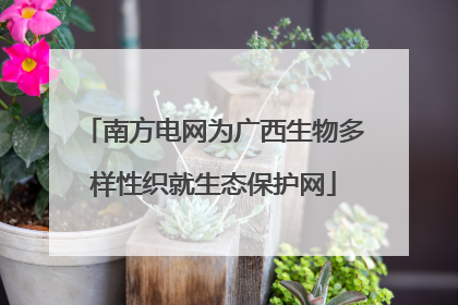 南方电网为广西生物多样性织就生态保护网