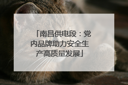 南昌供电段：党内品牌助力安全生产高质量发展
