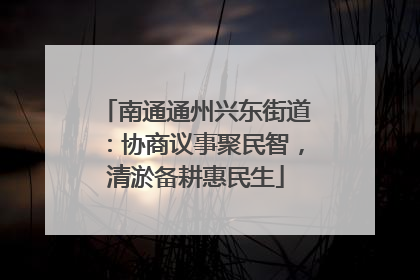 南通通州兴东街道：协商议事聚民智，清淤备耕惠民生