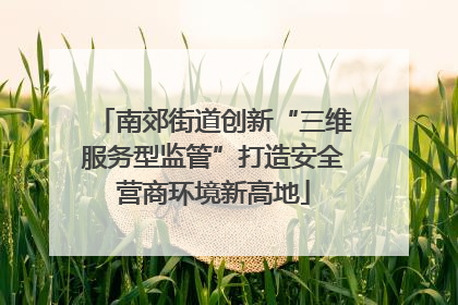 南郊街道创新“三维服务型监管”打造安全营商环境新高地