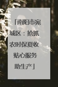 南阳市宛城区：抢抓农时保夏收 贴心服务助生产