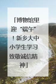 博物馆里迎“端午”！新乡大中小学生学习致敬诚信精神