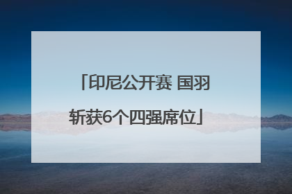 印尼公开赛 国羽斩获6个四强席位