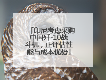 印尼考虑采购中国歼-10战斗机，正评估性能与成本优势