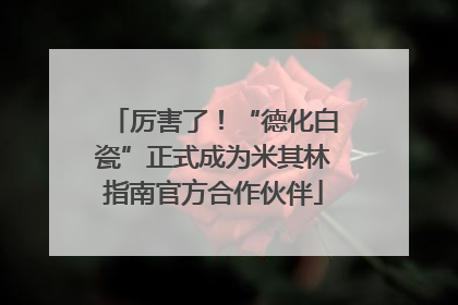 厉害了！“德化白瓷”正式成为米其林指南官方合作伙伴