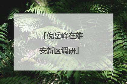 倪岳峰在雄安新区调研