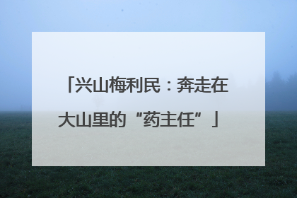 兴山梅利民：奔走在大山里的“药主任”