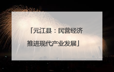 元江县：民营经济推进现代产业发展