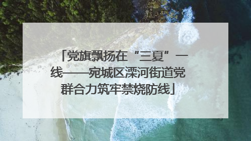 党旗飘扬在“三夏”一线——宛城区溧河街道党群合力筑牢禁烧防线
