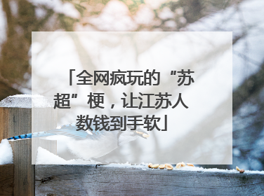 全网疯玩的“苏超”梗，让江苏人数钱到手软