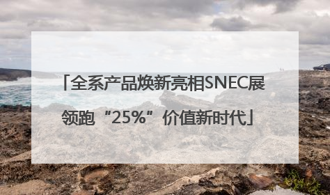 全系产品焕新亮相SNEC展 领跑“25%”价值新时代