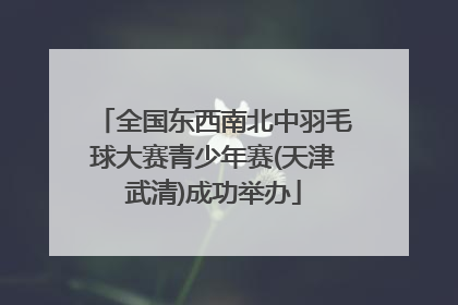全国东西南北中羽毛球大赛青少年赛(天津武清)成功举办
