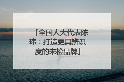 全国人大代表陈玮：打造更具辨识度的未检品牌