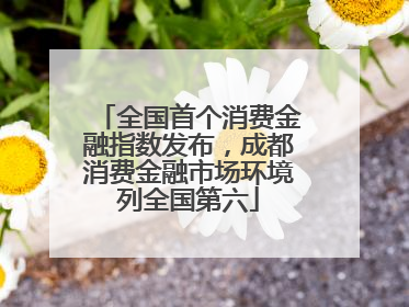 全国首个消费金融指数发布，成都消费金融市场环境列全国第六
