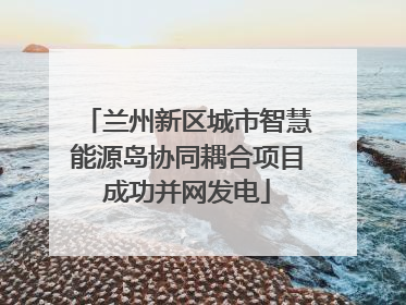 兰州新区城市智慧能源岛协同耦合项目成功并网发电