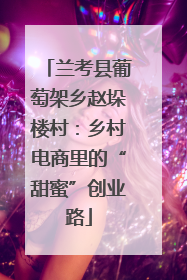 兰考县葡萄架乡赵垛楼村：乡村电商里的“甜蜜”创业路