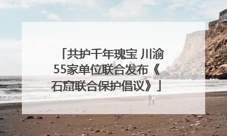 共护千年瑰宝 川渝55家单位联合发布《石窟联合保护倡议》