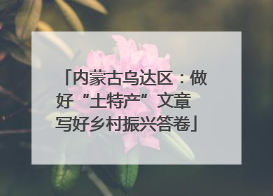 内蒙古乌达区：做好“土特产”文章 写好乡村振兴答卷