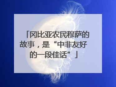 冈比亚农民穆萨的故事，是“中非友好的一段佳话”