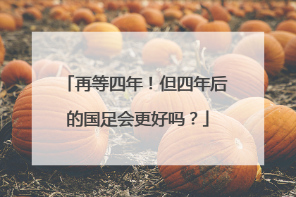 再等四年！但四年后的国足会更好吗？
