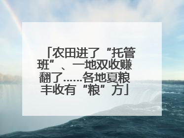 农田进了“托管班”、一地双收赚翻了……各地夏粮丰收有“粮”方