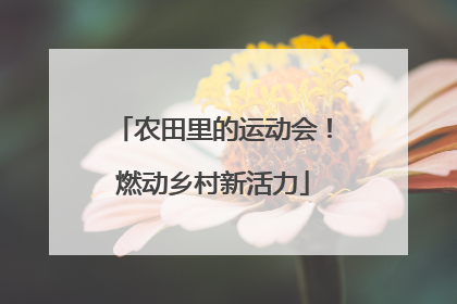 农田里的运动会！燃动乡村新活力