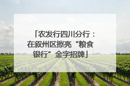 农发行四川分行：在叙州区擦亮“粮食银行”金字招牌