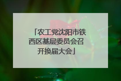 农工党沈阳市铁西区基层委员会召开换届大会