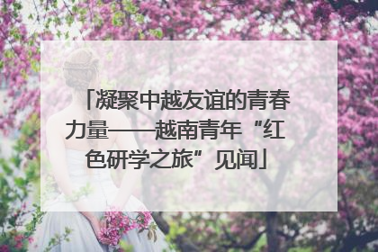 凝聚中越友谊的青春力量——越南青年“红色研学之旅”见闻