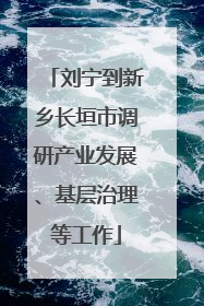 刘宁到新乡长垣市调研产业发展、基层治理等工作