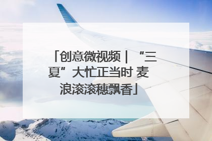 创意微视频｜“三夏”大忙正当时 麦浪滚滚穗飘香