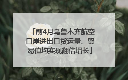 前4月乌鲁木齐航空口岸进出口货运量、贸易值均实现翻倍增长