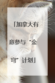 加拿大有意参与“金穹”计划