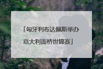 匈牙利布达佩斯举办意大利面桥世锦赛