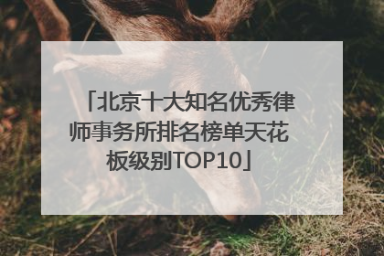北京十大知名优秀律师事务所排名榜单天花板级别TOP10