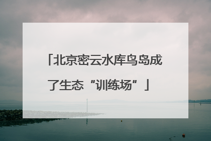 北京密云水库鸟岛成了生态“训练场”