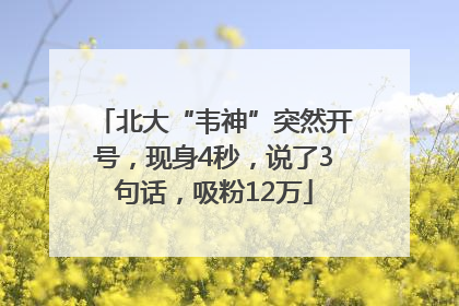 北大“韦神”突然开号，现身4秒，说了3句话，吸粉12万