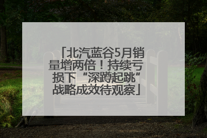 北汽蓝谷5月销量增两倍！持续亏损下“深蹲起跳”战略成效待观察