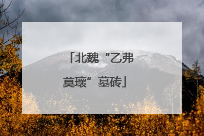 北魏“乙弗莫瓌”墓砖