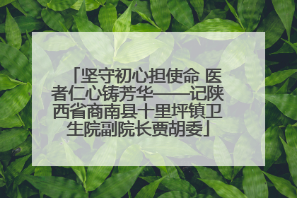 坚守初心担使命 医者仁心铸芳华——记陕西省商南县十里坪镇卫生院副院长贾胡委