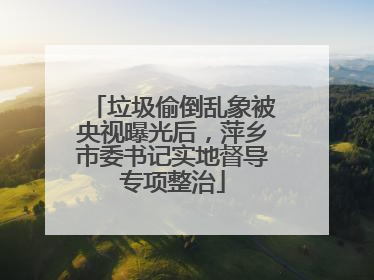 垃圾偷倒乱象被央视曝光后，萍乡市委书记实地督导专项整治